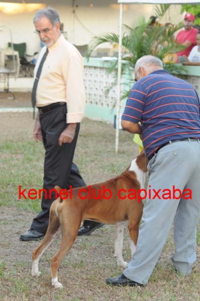 Clique sobre a foto para fechar